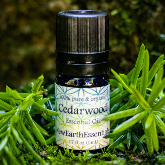 cedarwood