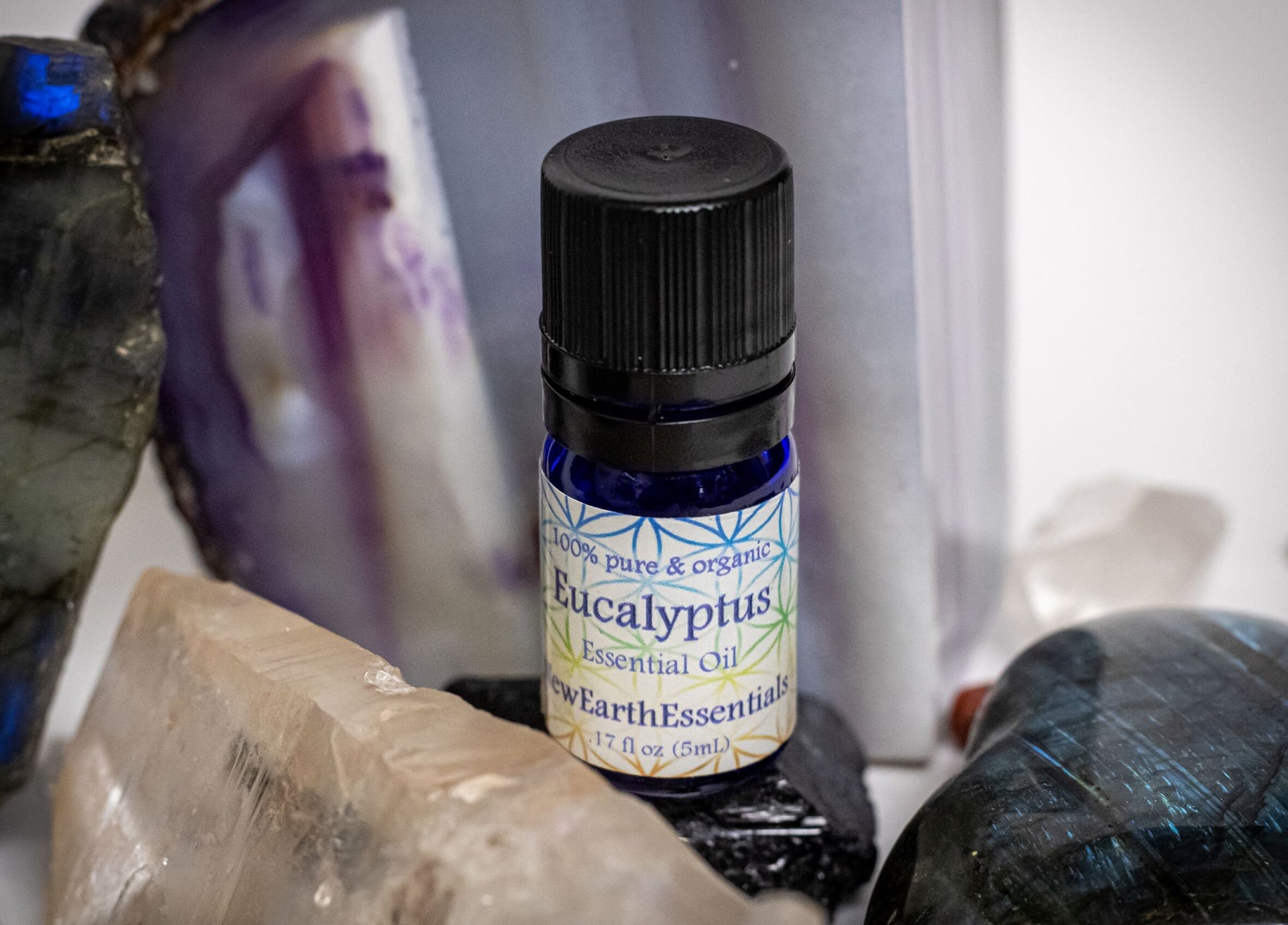 eucalyptus