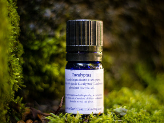 eucalyptus