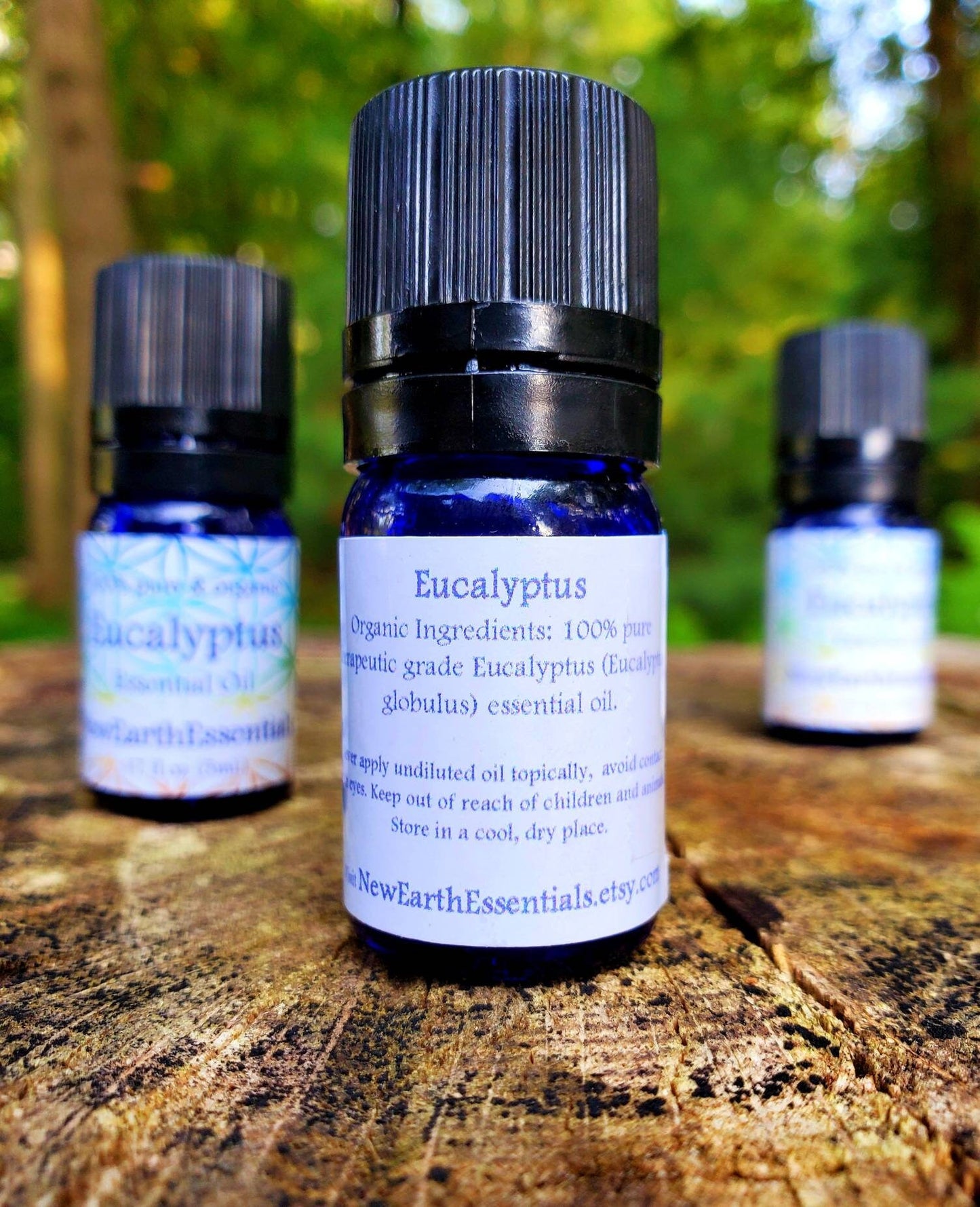 eucalyptus