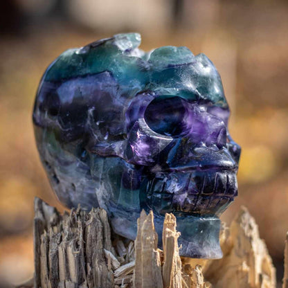 Rainbow Fluorite Skull