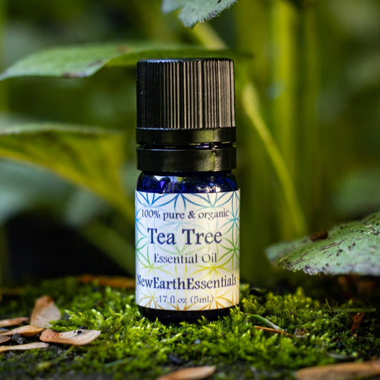 tea tree